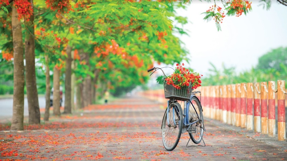 Những mùa Hạ vắng xa...